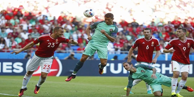 Hungary vs Bồ Đào Nha - thống kê phong độ ra sân